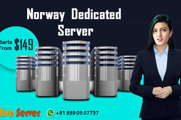 Reasons Why Gaming is Fun on a Norway Dedicated Server - Onlive Server